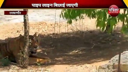 अब पानी की कमी से नहीं भटकेंगे वन्यजीव