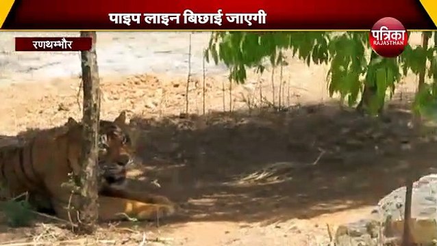 अब पानी की कमी से नहीं भटकेंगे वन्यजीव