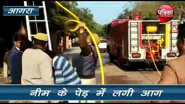 नीम के पेड़ में आग