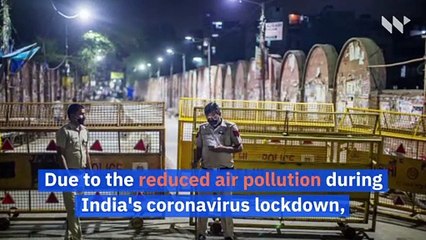 People in India Can See the Himalayas for the First Time in 'Decades'