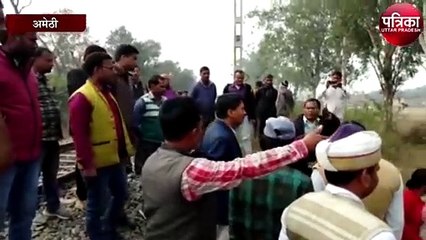 सात गायों की हुईं मौत, एडीएम ने शुरू की जांच