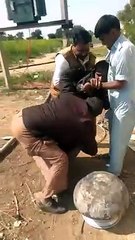 टिड्डी से खेत खराब होने के कारण आत्महत्या के प्रयास का वायरल वीडियो निकला फर्जी