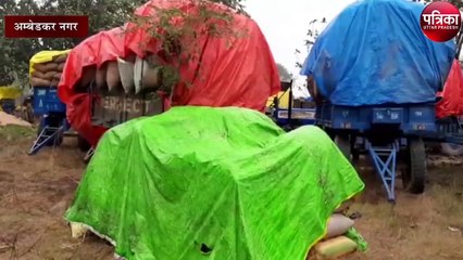 सरकारी दावों की खुली पोल, धान बेचकर भुगतान के लिए ऐसे परेशान हैं किसान