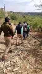 खेत में पैंथर मिलने की सूचना से ग्रामीणों में खौफ