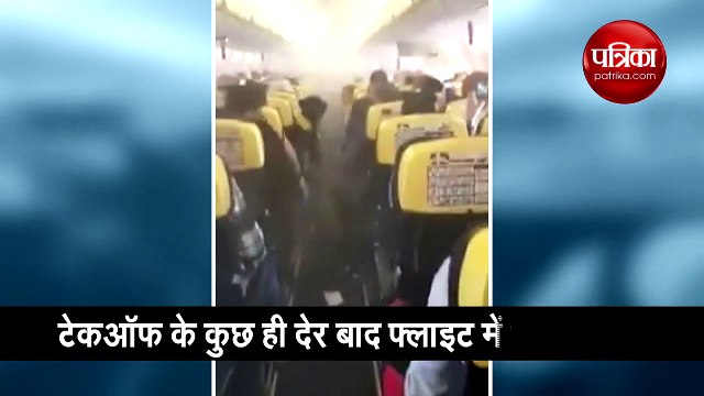 sound of bees will drive elephants away from the railway track