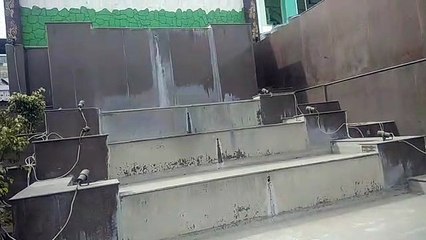 शौर्य गाथा बताने वाले स्मारकों को भी भूल गए लोग