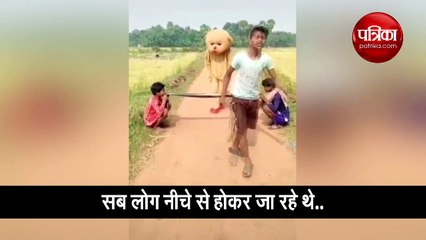 दो लोग रास्ता रोककर बैठे थे, फिर इस गुड्डे ने किया ये कमाल