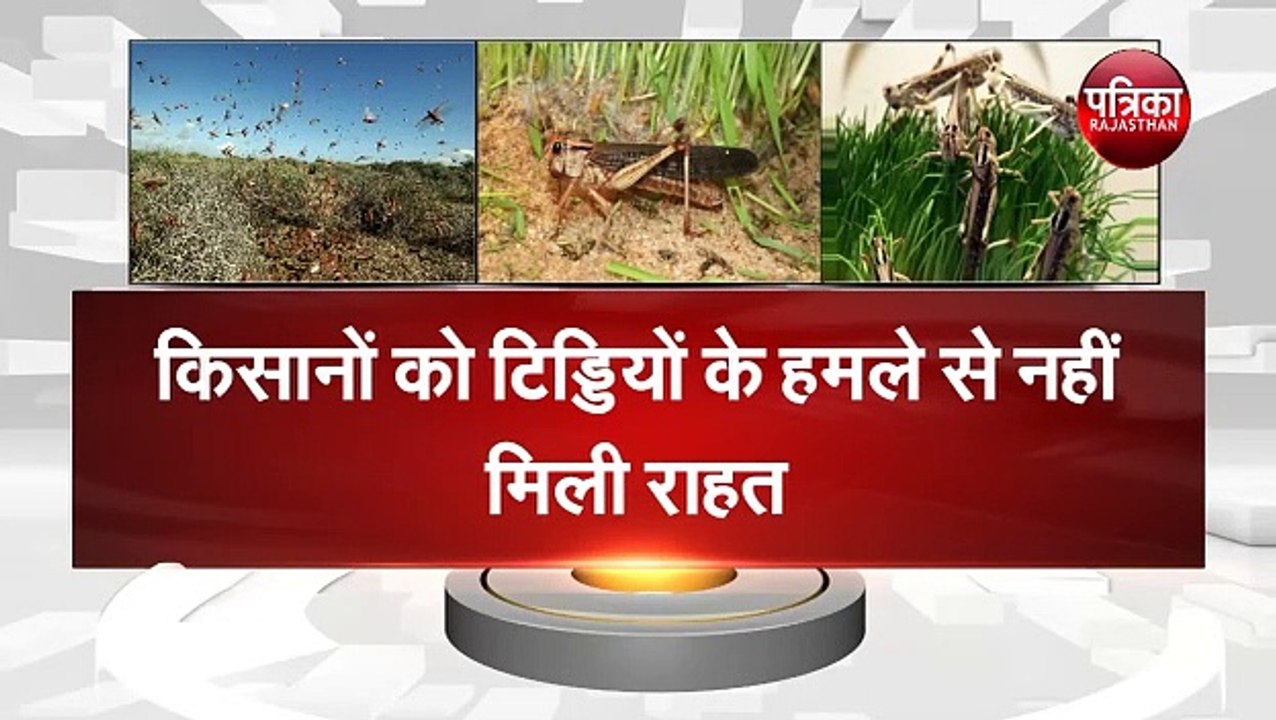 और अब अंडे से मंडरा रहा खतरा