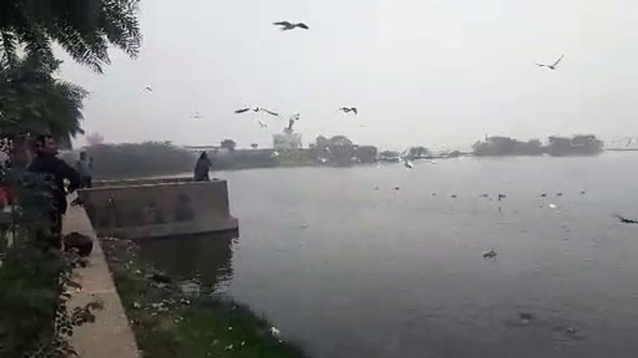 कह रहे परदेसी पावणे, हम आ गए हैं आप भी चले आइये...