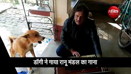 कुत्ते ने गाया रानू मंडल का गाना, शख्स ने हिमेश बन दी ट्रेनिंग