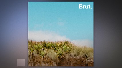 Love beach is one of the most secluded beaches in Mexico