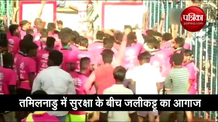 तमिलनाडु में कड़ी सुरक्षा के बीच जलीकट्टू का आगाज, 700 सांड़ ले रहे भाग