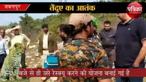 जबलपुर में पकड़ा गया खूंखार तेंदुआ, सैन्य क्षेत्र के जाल में फंसा: देखें वीडियो