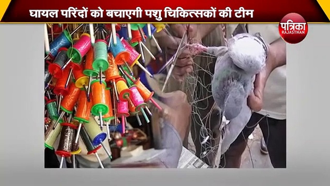 घायल परिंदों को बचाएगी पशु चिकित्सकों की टीम