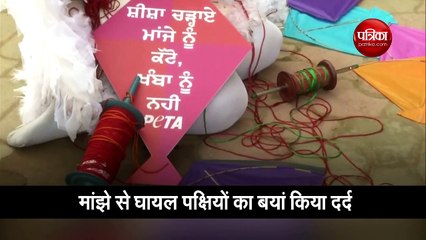 Download Video: Video: पेटा कार्यकर्ता की अनूठी पहल, मांझे से घायल पक्षियों का बयां किया दर्द