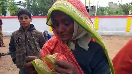 पट्टा बनवाने का आश्वासन देकर सरकारी जमीन पर बस दी कॉलोनियां