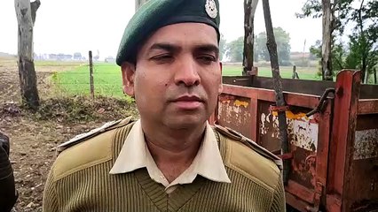 Teak was being smuggled under the fire of firewood