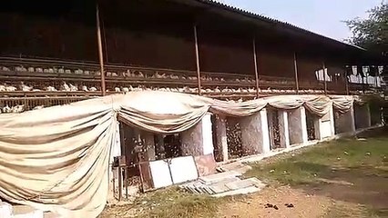 घाटा इतना कि अब व्यापार से कर रहे तौबा