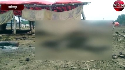 गौशाला में गायों का बुरा हाल