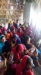 How will the persecutors of neighboring countries be given citizenship