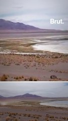 The Atacama, the oldest desert in the world