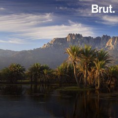 The mysterious island of Socotra
