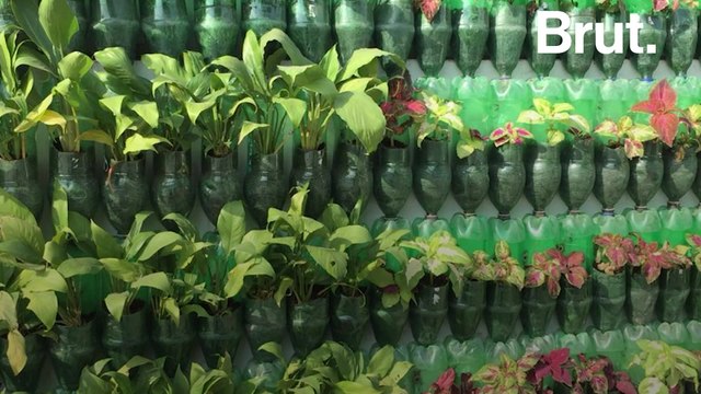 3 innovative urban greening initiatives