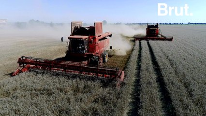 The IPCC just released an alarming report