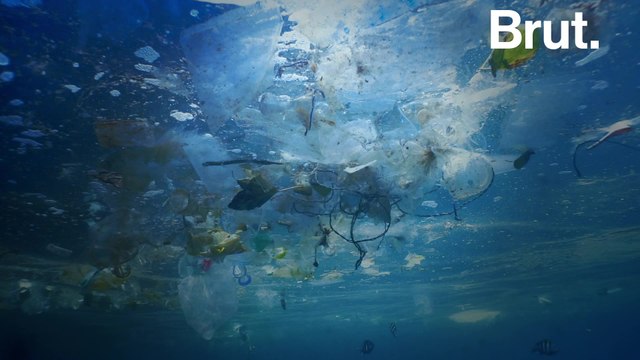 The worst plastic polluting companies revealed