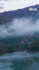 Tama River in Japan used to be significantly polluted