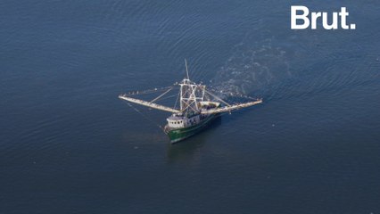 IPCC report: the ocean more threatened than ever