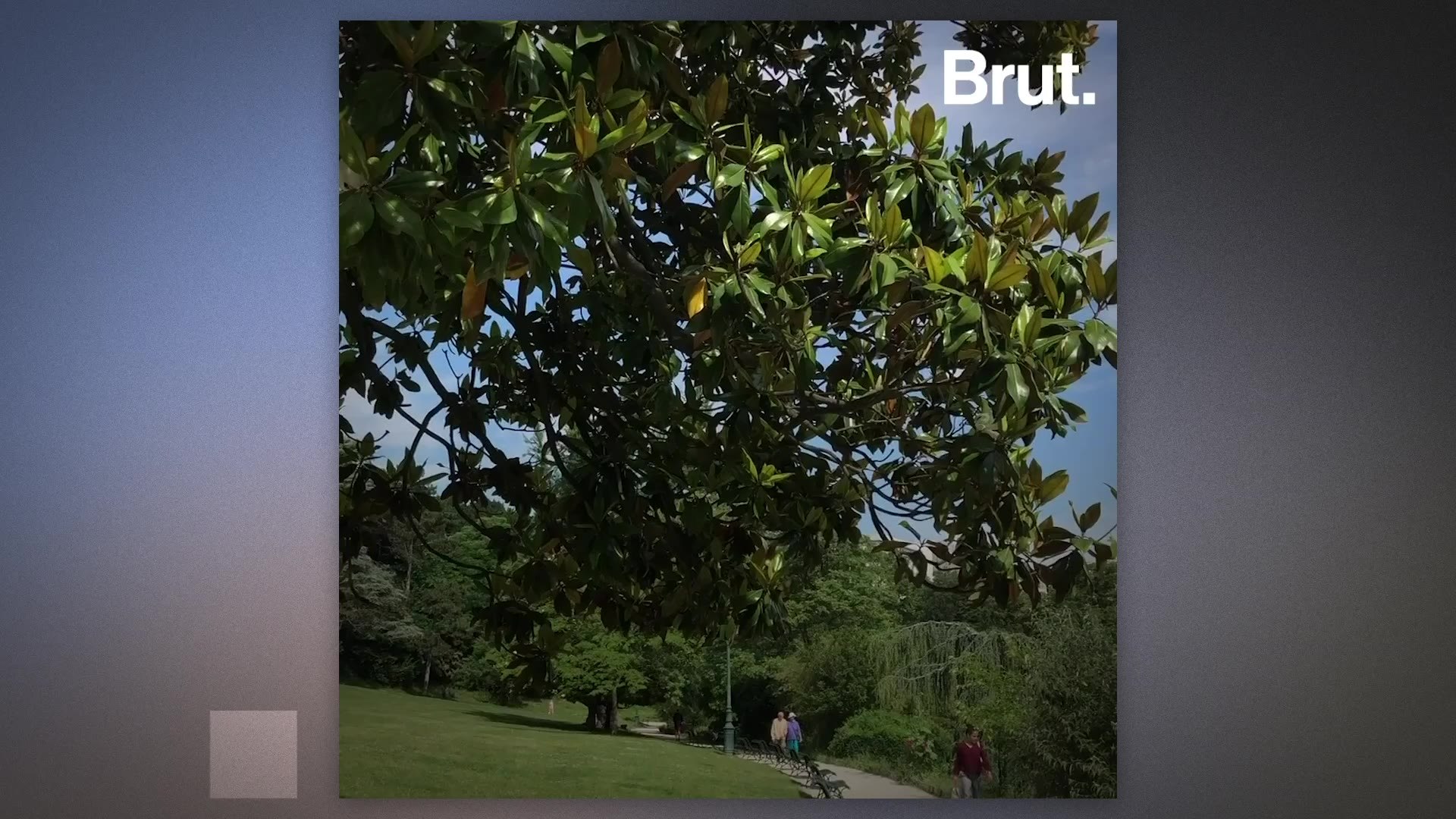 ⁣How to use less water