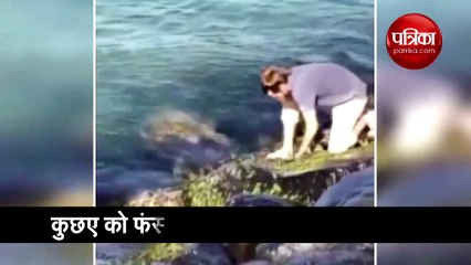 A turtle getting rescued by a man at a beach is going viral