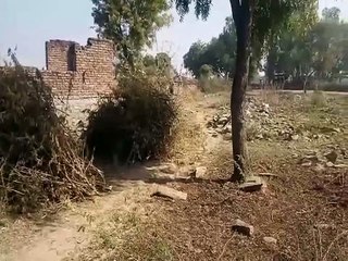 पुलिस थाना खुला तो चौकी को भूले