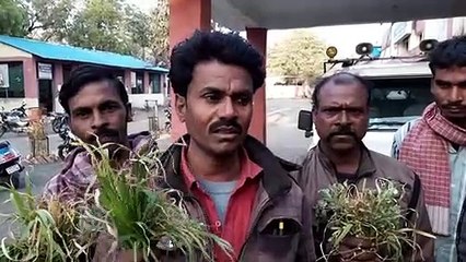 रिफाइनरी से निकली गैस से हुई फसल खराब, ग्रामीणों ने लगाया आरोप, सौंपा ज्ञापन