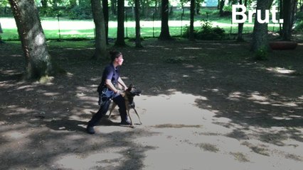 The training of police dogs