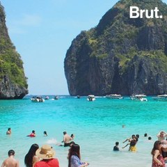 Maya Bay's ecosystem is harmed by mass tourism