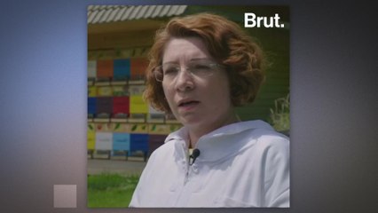 Slovenian Bee Paradise