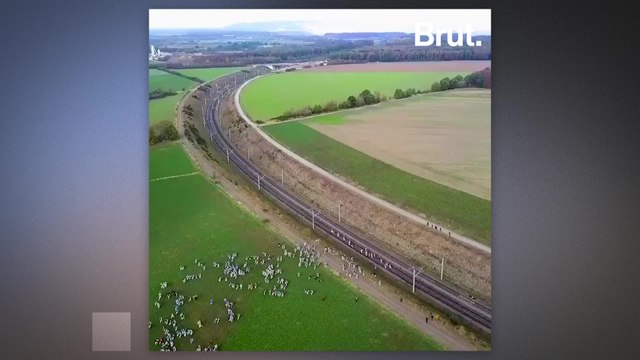 Activists tried to block a huge coal mine in Germany