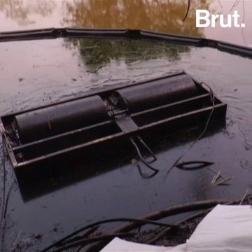 Oil leak turns into an ecological disaster in northern Colombia