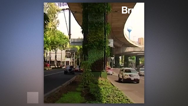 The Green Way project is expanding in Mexico city