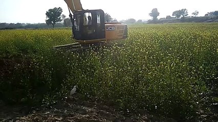 जेसीबी से खड़ी फसलों की बीच खोद दी खाई, जाने क्या रही वजह...