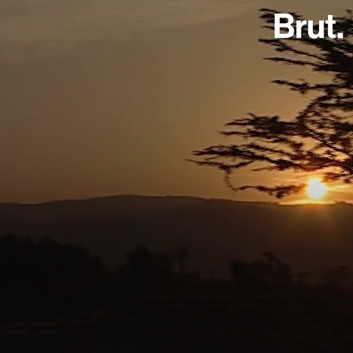 3 African environmental initiatives