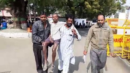 Disabled bear attack wandering for funds