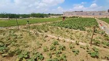 The villagers do not know where the district level Arogya Mobile unit