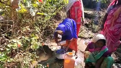 ribals forced to drink dirty water from Jhiriya