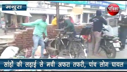 बीच सड़क पर हुई ‘बुल फाइट’, मची भगदड़, देखें वीडियो