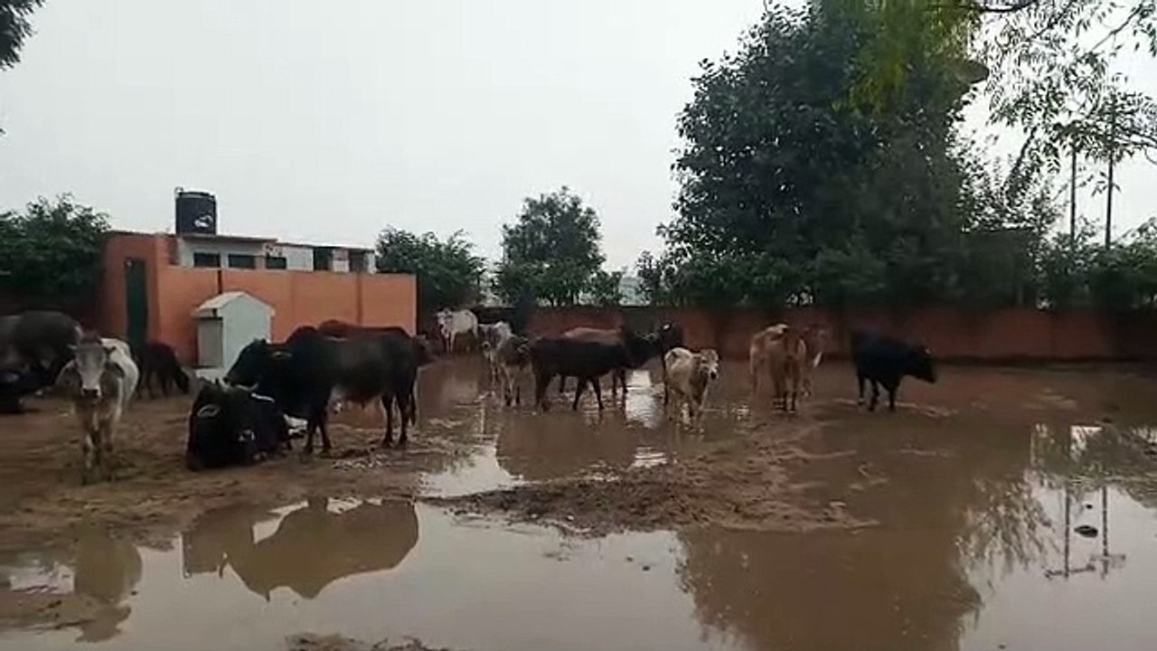 bulandshahar