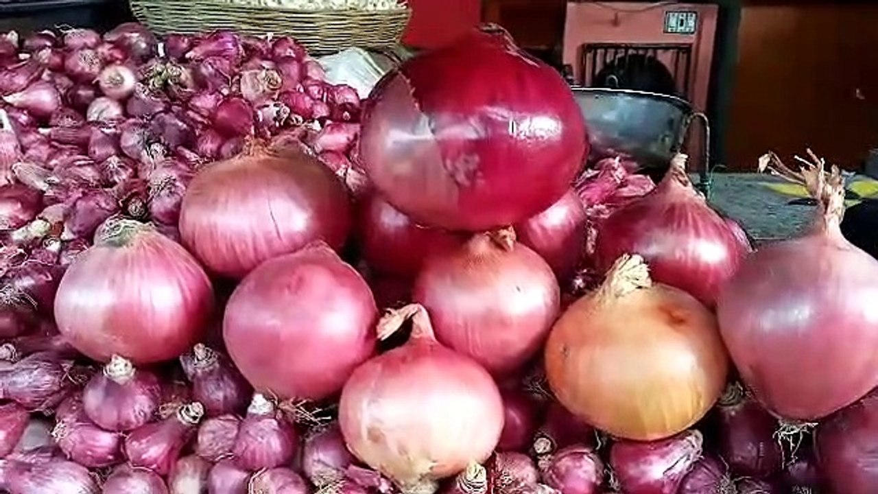 जिले में तुर्की से पहुंच रहा प्याज