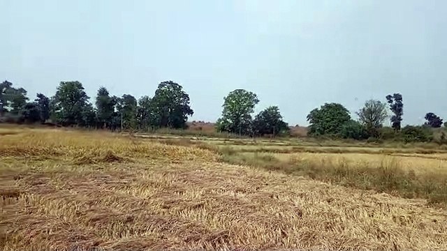 Lines of concern on farmers' foreheads